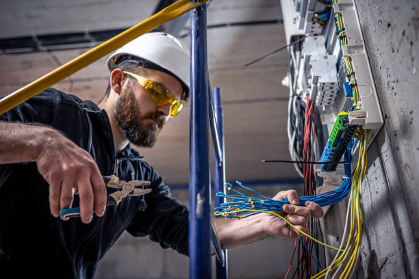 Best Electric Panel Repair  in Griggsvle, IL