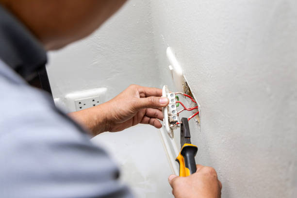 Best Electrical Upgrades for Homes  in Griggsvle, IL